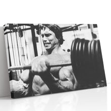 Load image into Gallery viewer, #008 Arnold Schwarzenegger