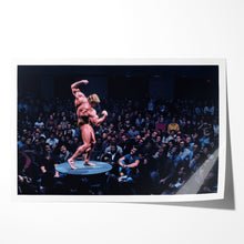 Load image into Gallery viewer, #012 Arnold Schwarzenegger