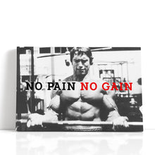 Load image into Gallery viewer, #026 Arnold Schwarzenegger