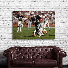 Load image into Gallery viewer, #009 Raiders Bo Jackson
