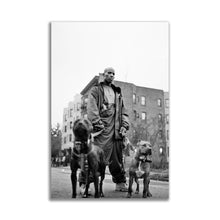 Load image into Gallery viewer, #001 DMX