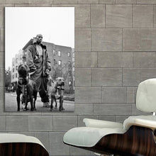 Load image into Gallery viewer, #001 DMX