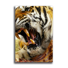 Load image into Gallery viewer, #001 Tiger