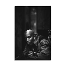 Load image into Gallery viewer, #002 DMX