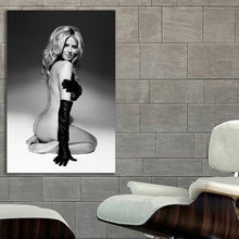 Load image into Gallery viewer, #004BW Heidi Klum