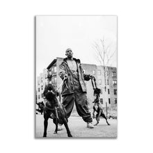 Load image into Gallery viewer, #007 DMX