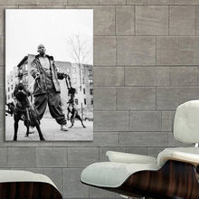 Load image into Gallery viewer, #007 DMX