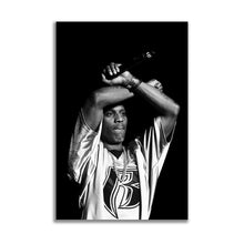 Load image into Gallery viewer, #009BW DMX