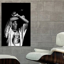 Load image into Gallery viewer, #009BW DMX