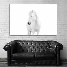 Load image into Gallery viewer, #020BW Horse