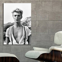 Load image into Gallery viewer, #022 David Bowie