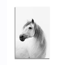 Load image into Gallery viewer, #001 Horse