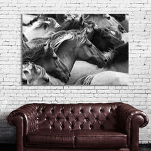 Load image into Gallery viewer, #004BW Horse