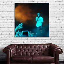 Load image into Gallery viewer, #501 Frank Ocean