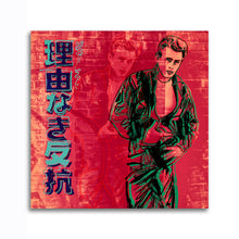 Load image into Gallery viewer, #503 James Dean