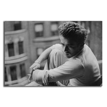 Load image into Gallery viewer, #019 James Dean