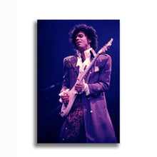 Load image into Gallery viewer, #015 Prince