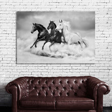 Load image into Gallery viewer, #024BW Horse