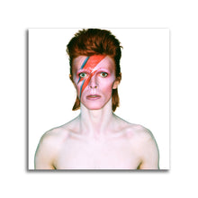 Load image into Gallery viewer, #500 David Bowie