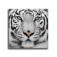 Load image into Gallery viewer, #500 Tiger