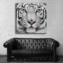 Load image into Gallery viewer, #500 Tiger
