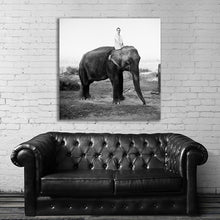 Load image into Gallery viewer, #501 Kate Moss