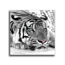 Load image into Gallery viewer, #502 Tiger