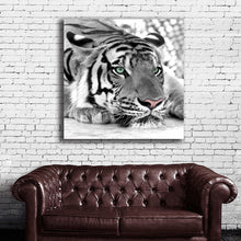 Load image into Gallery viewer, #502 Tiger