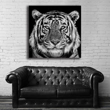 Load image into Gallery viewer, #504 Tiger