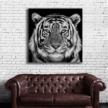 Load image into Gallery viewer, #504 Tiger