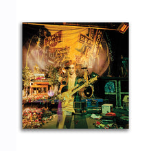 Load image into Gallery viewer, #505 Prince