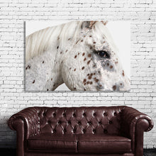 Load image into Gallery viewer, #021 Horse