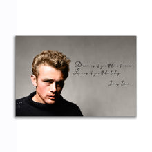 Load image into Gallery viewer, #063 James Dean