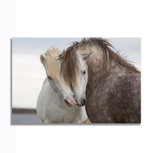 Load image into Gallery viewer, #025 Horse