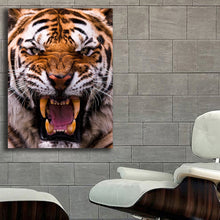 Load image into Gallery viewer, #700 Tiger