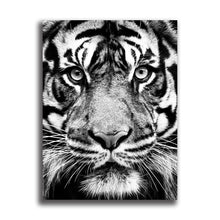 Load image into Gallery viewer, #702 Tiger
