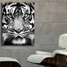 Load image into Gallery viewer, #702 Tiger