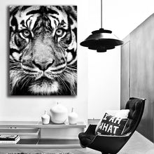 Load image into Gallery viewer, #702 Tiger