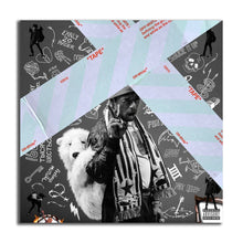 Load image into Gallery viewer, #508 Lil Uzi Vert