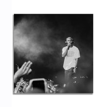 Load image into Gallery viewer, #502BW Frank Ocean