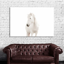 Load image into Gallery viewer, #019 Horse