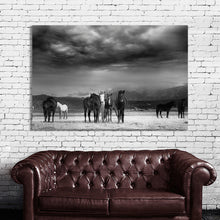 Load image into Gallery viewer, #018 Horse