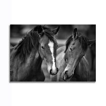 Load image into Gallery viewer, #011BW Horse