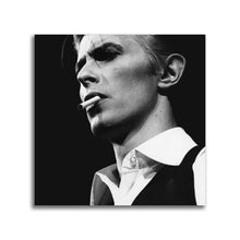 Load image into Gallery viewer, #509 David Bowie