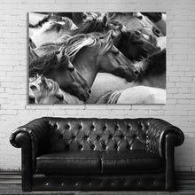 Load image into Gallery viewer, #004BW Horse