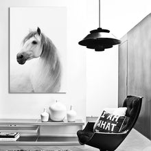 Load image into Gallery viewer, #001 Horse