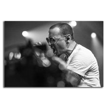 Load image into Gallery viewer, #010BW Linkin Park