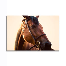Load image into Gallery viewer, #008 Horse