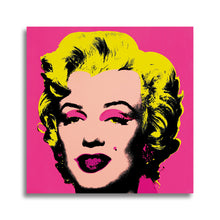 Load image into Gallery viewer, #511 Warhol