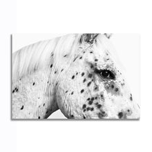 Load image into Gallery viewer, #022BW Horse